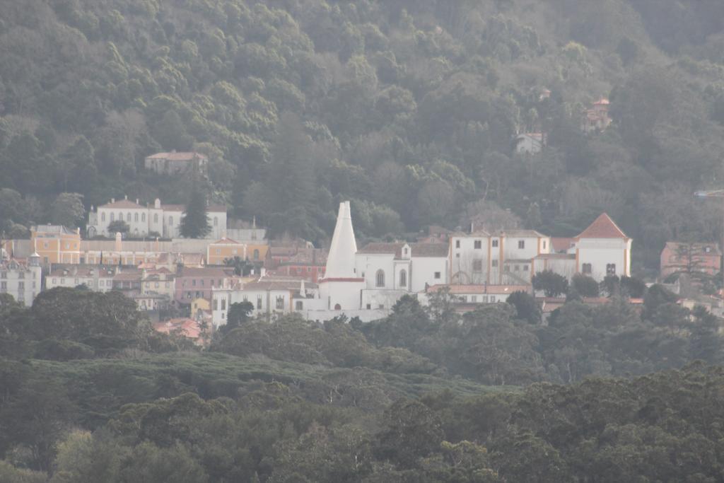 Cozy Green Apartment Sintra Bagian luar foto
